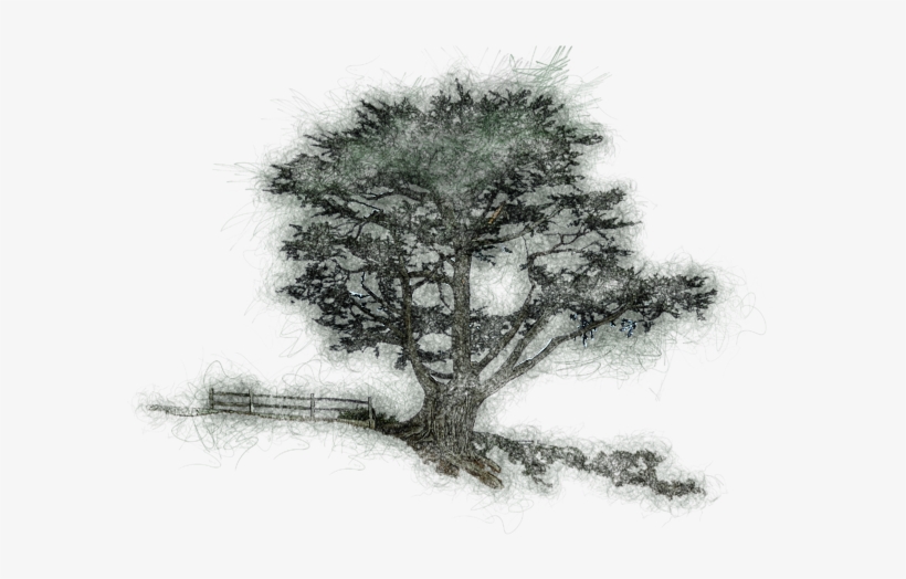 Click And Drag To Re-position The Image, If Desired - Sketch, transparent png #1288194