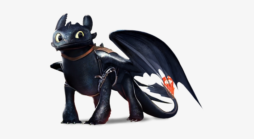 The Team Members Immediately Decided On Changing The - Toothless Dragon, transparent png #1288272