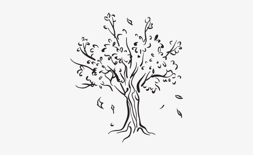 Drawing branch willow tree Royalty Free Vector Image