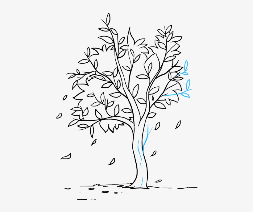 How To Draw Fall Tree - Draw Fall, transparent png #1288481
