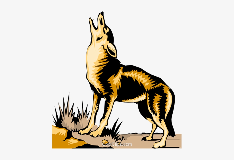 Coyote Clip Art, transparent png #1288747