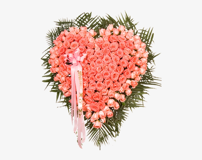 Coral Lace - Modern Florist, transparent png #1289026