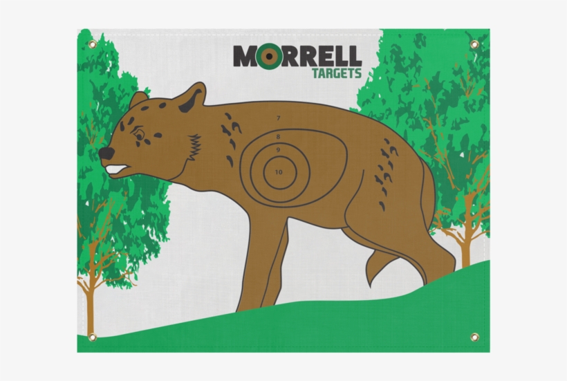 Morrell's Coyote I - Morrell Paper Archery Target 3 Spot Pack, transparent png #1289153