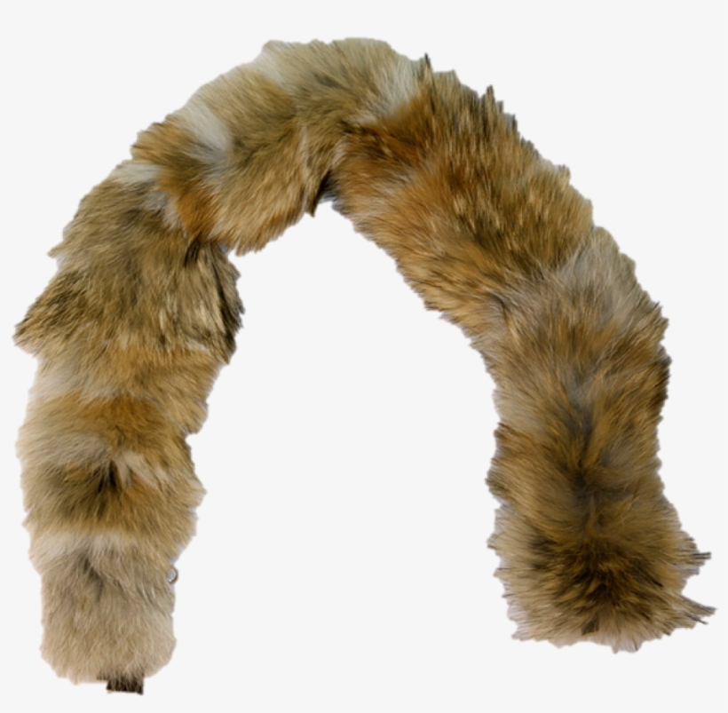 Coyote Fur Plate Ruff - Coyote Fur Png, transparent png #1289318