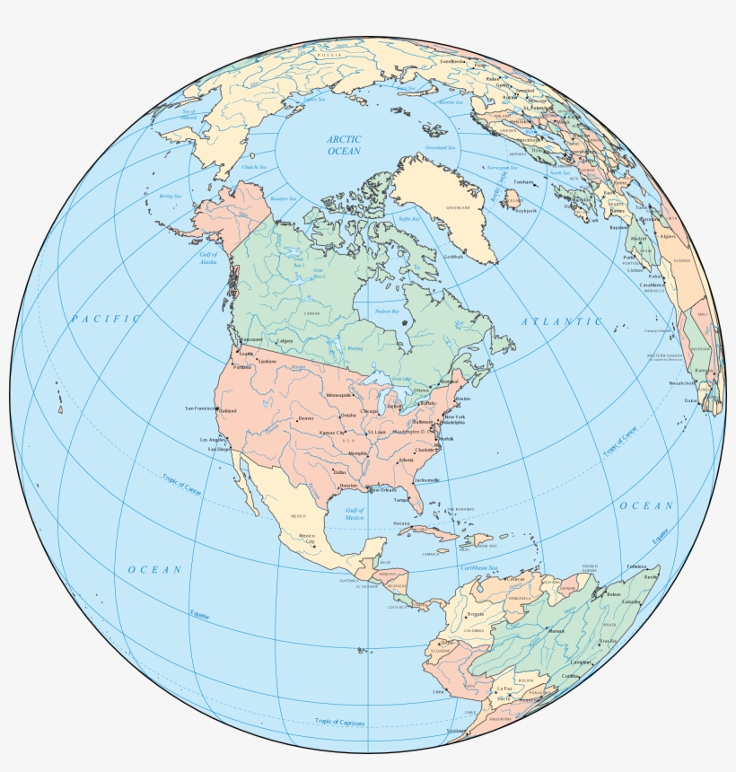 North America Globe - Field Guide To Wildflowers Of Northeastern And North-central, transparent png #1291054