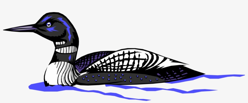 North America Bird Image Illustration Of American - Loon Clip Art, transparent png #1291239