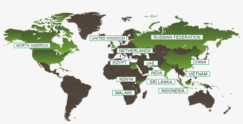 Van Rees Inc - Mercuri International, transparent png #1291488
