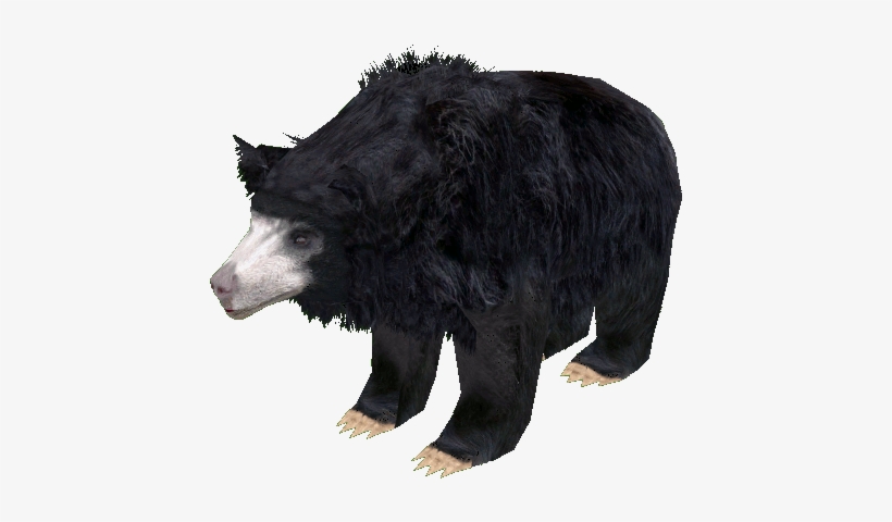 Sloth Bear - Car, transparent png #1293179
