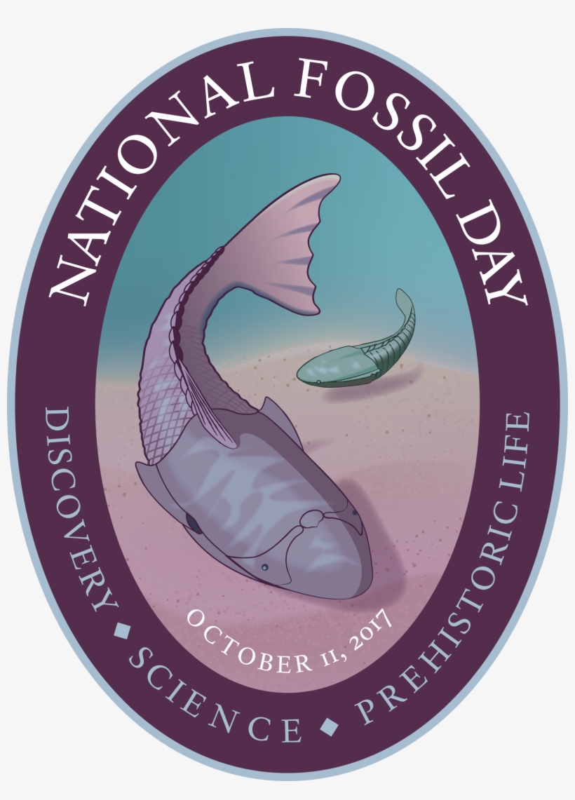 File - National Fossil Day 2017, transparent png #1293945