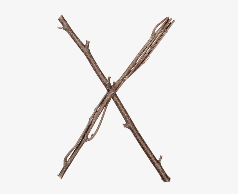 Twigs Brown Font - Twig Png, transparent png #1294261