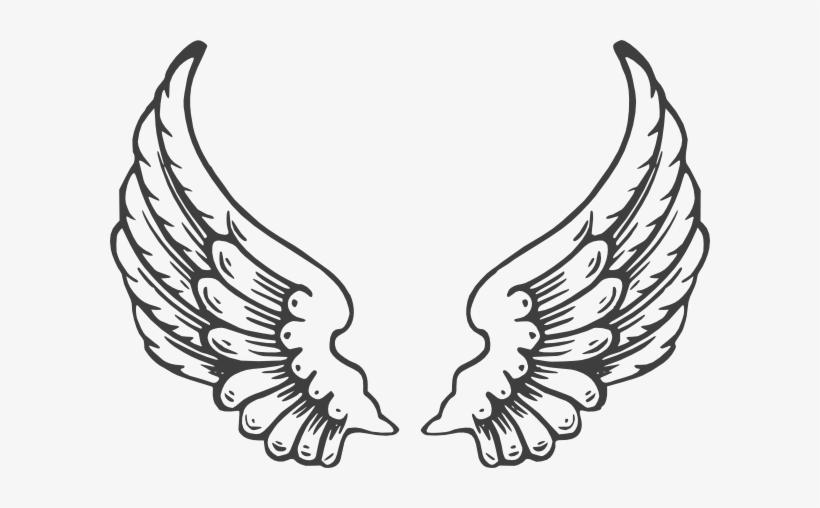 How To Set Use Grey Eagle Wings Clipart, transparent png #1294585