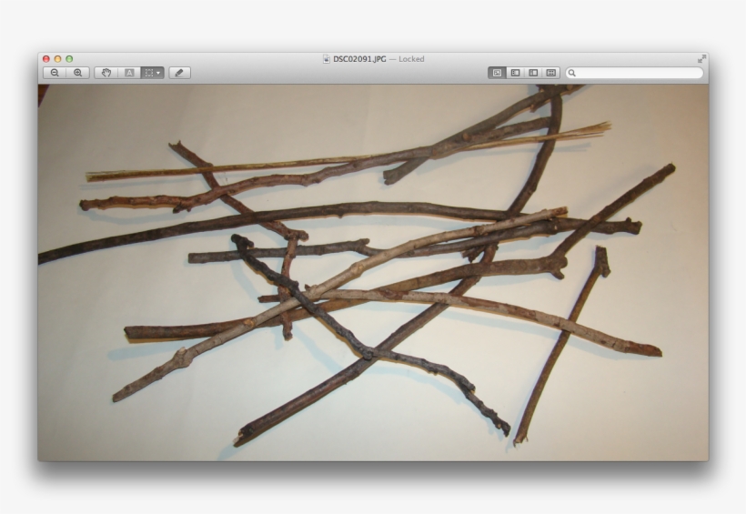 This Is My Drawing Of My Twigs - Twig, transparent png #1294586