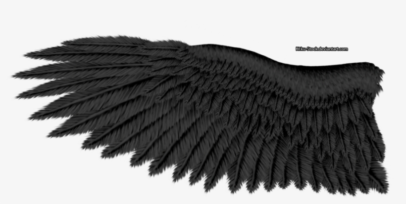 Eagle Wings Transparent Image - Eagle Wing Transparent Background, transparent png #1294620
