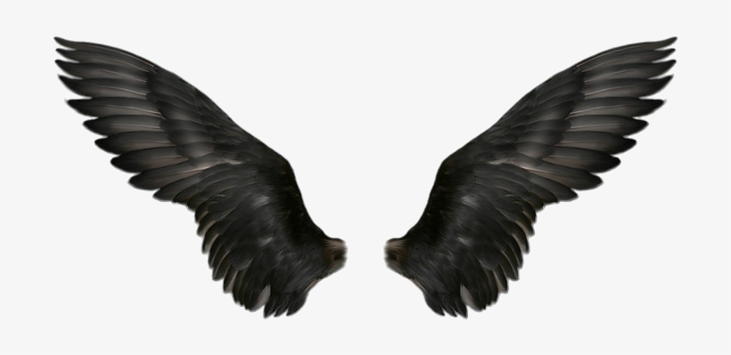 Wings Png - Alas Negras De Angel, transparent png #1294650