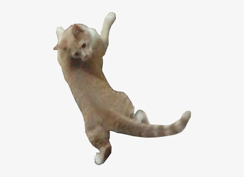 Cat On Imgur - Dog Catches Something, transparent png #1295342