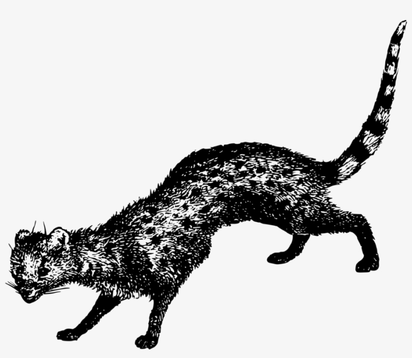 Image Library Whiskers Dog Bear Free Commercial Clipart - Clip Art, transparent png #1295432