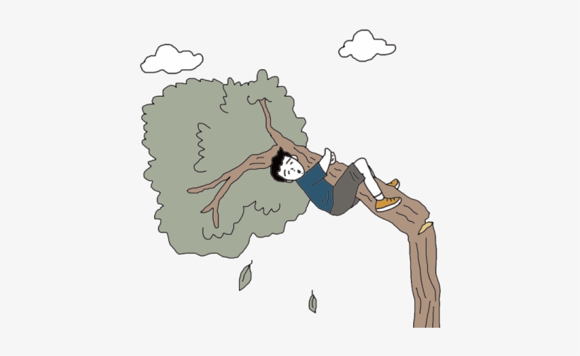 Tree Falling - Falling From Tree Cartoon, transparent png #1296192