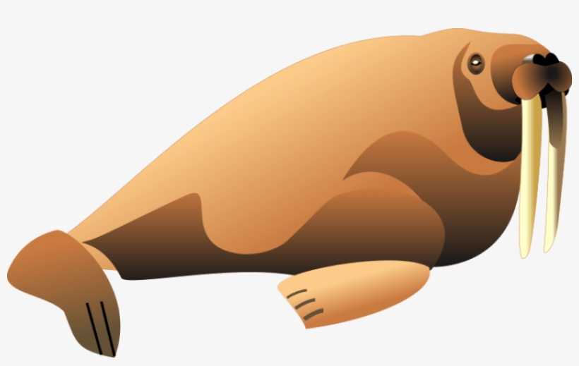 Free Png Walrus Png Images Transparent - Clipart Walrus, transparent png #1296365