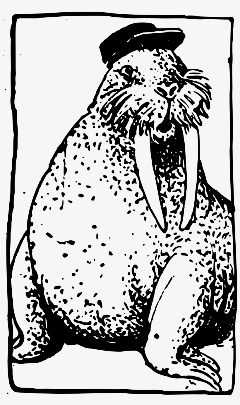 Big Image - Walrus, transparent png #1296558