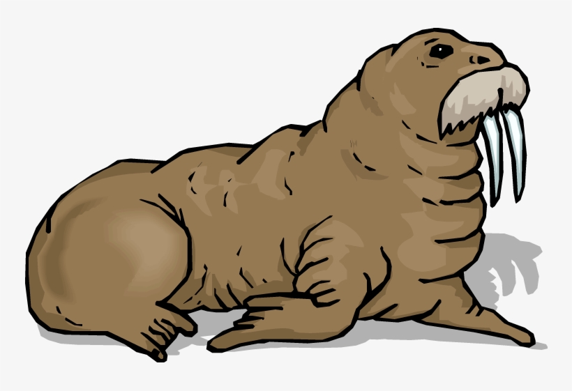 Walrus Download Png Image - Clipart Images Of Walrus, transparent png #1296690