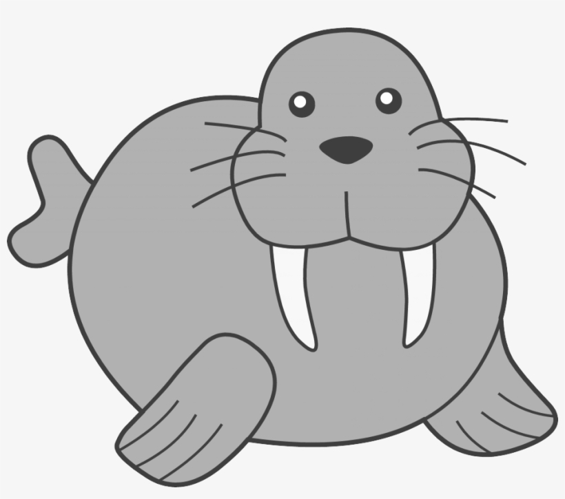 Walrus Clipart - Coloring Book, transparent png #1296955