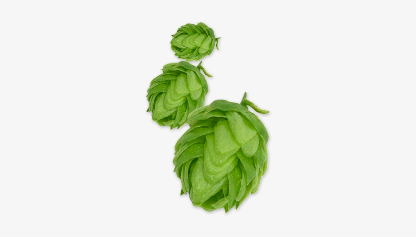 Glacier Hops - Glacier, transparent png #1297528