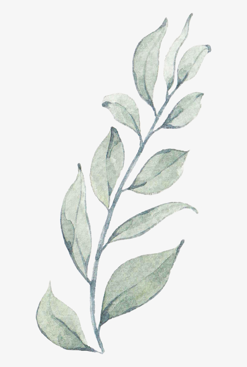 Euclidean Vector, transparent png #1298285