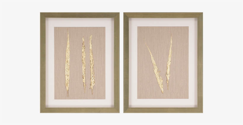 Golden Feather Ii Pk/2 - Golden Feather I, transparent png #1299000