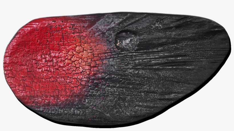 By Using The Fire As A Brush, Invisible Traces Emerge - Insect, transparent png #1299189
