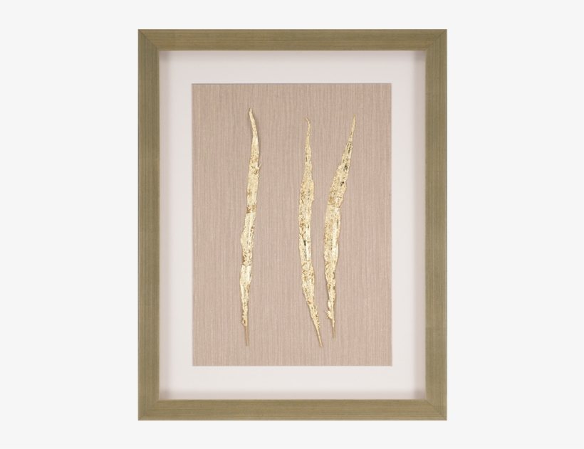 Picture Frame, transparent png #1299226