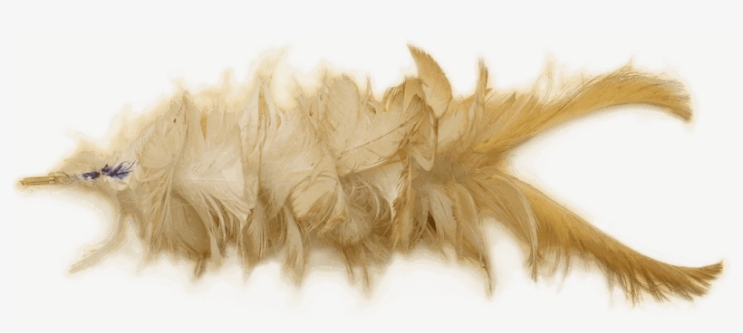 Dani Feather - Grass, transparent png #1299462