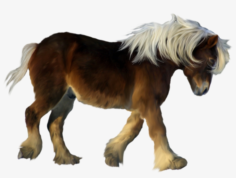 Pony Png, transparent png #1299584