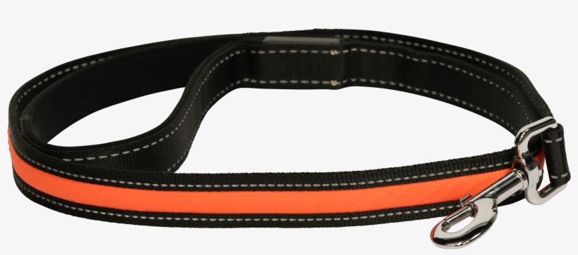 Light Up Led Leash-littlelightlab, transparent png #1299694