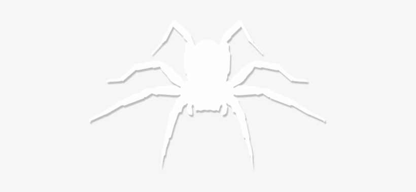 White Spider Web Picture Royalty Free Stock - Insect, transparent png #130085