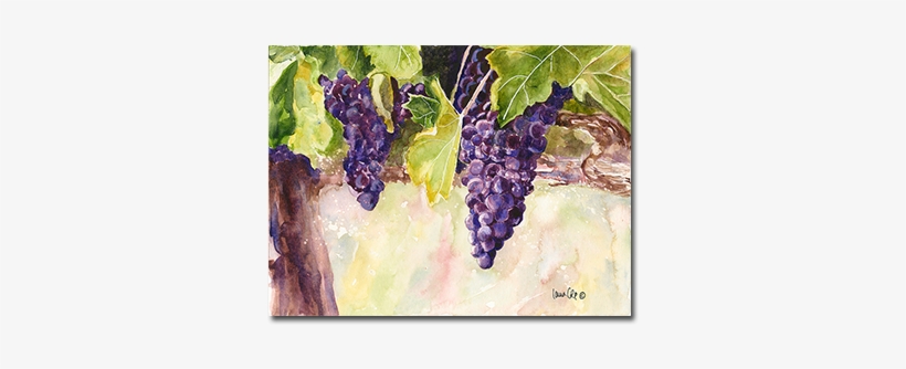 "grapes On The Vine" Watercolor Private Collection - Paint, transparent png #130758