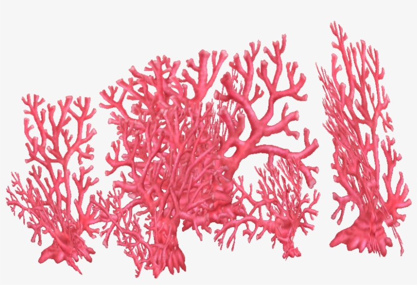 Fire Coral - Tree, transparent png #131027