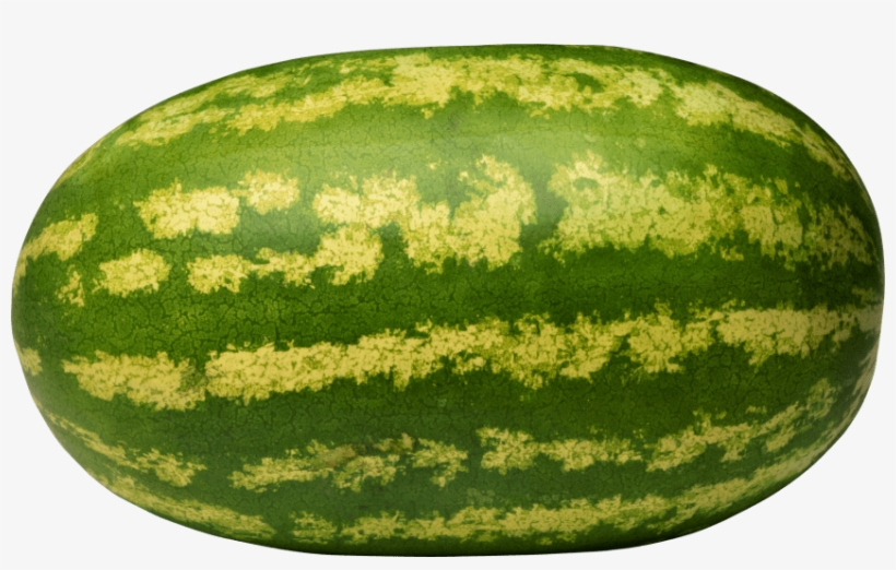 Free Png Watermelon Png Images Transparent - Giant Watermelon Fruit Seeds, transparent png #131184