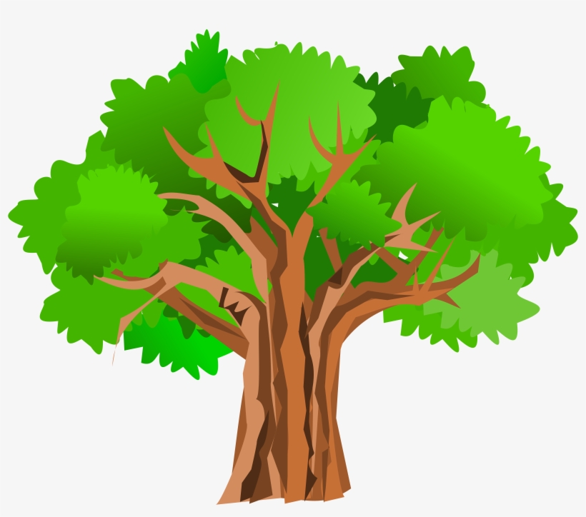Big Tree Clipart - Tree Clipart Transparent, transparent png #131211