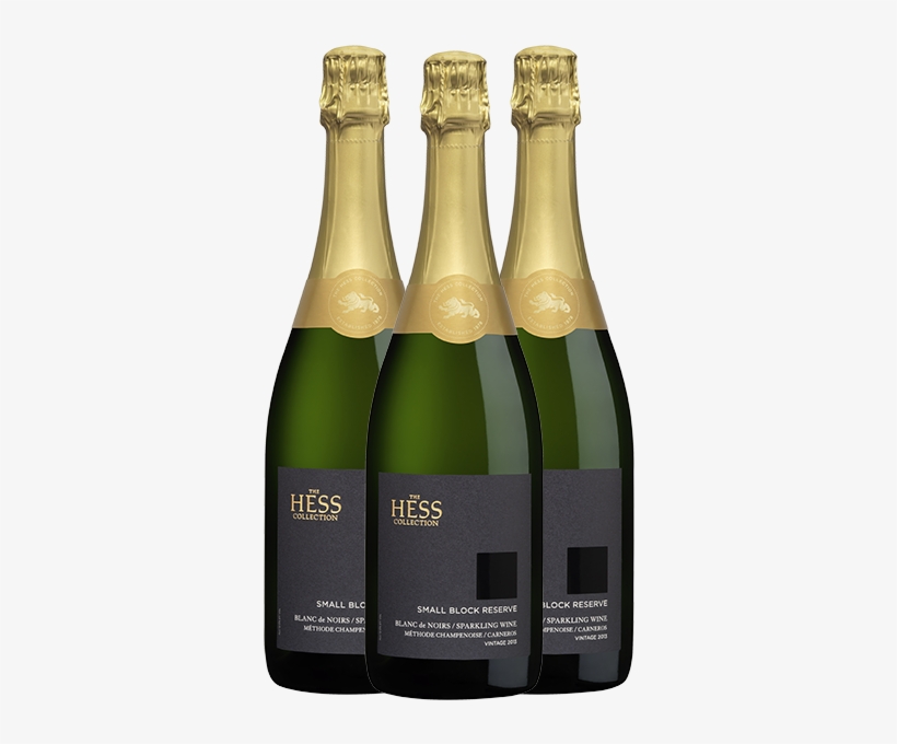 Search - Champagne, transparent png #131414