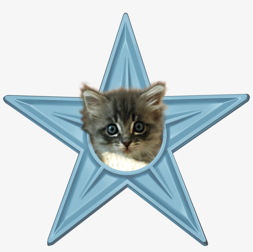 Cute Kitten Barnstar - 4 X Lol Cat Badge Button Pins Kitteh (1inch/25mm Diameter), transparent png #131704