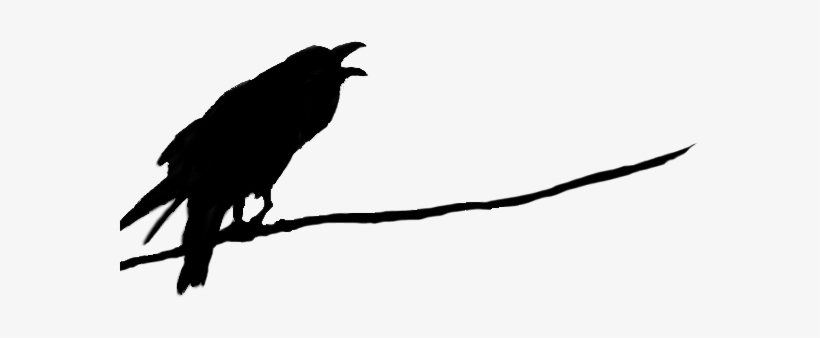 Raven Free Download Png - Raven Png, transparent png #132101