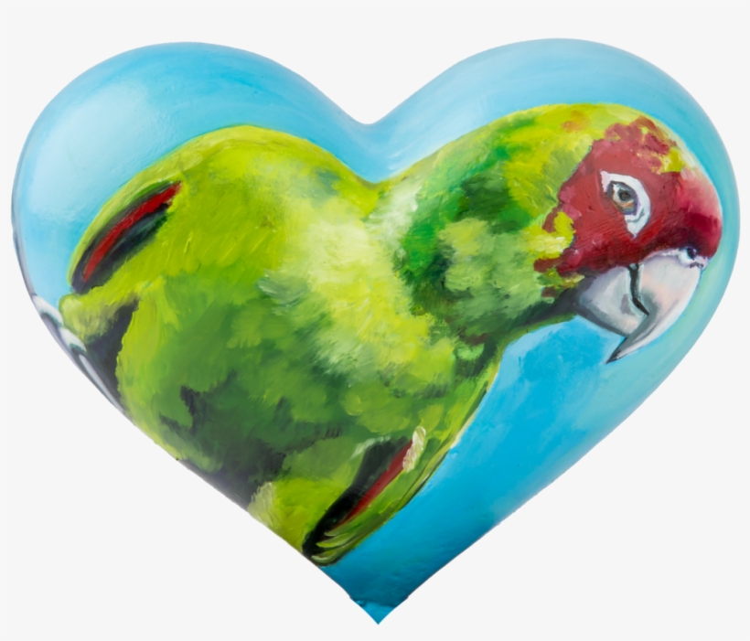 “sf - Macaw, transparent png #132102