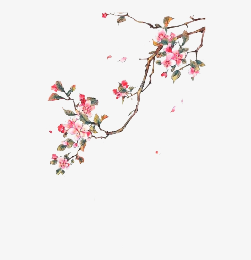 Cung Cấp "nguyên Liệu" Để Có Một Bức Hình Như Ý Nhớ, transparent png #132180