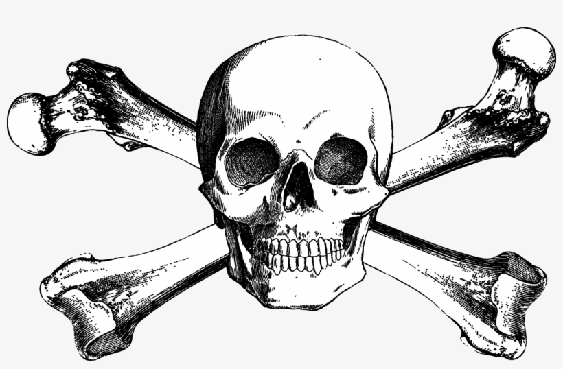 Skull And Bones Skull And Crossbones Drawing - Bones Drawing, transparent png #132329