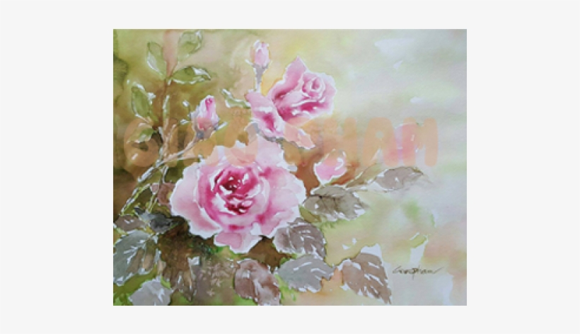Garden Roses, transparent png #132589