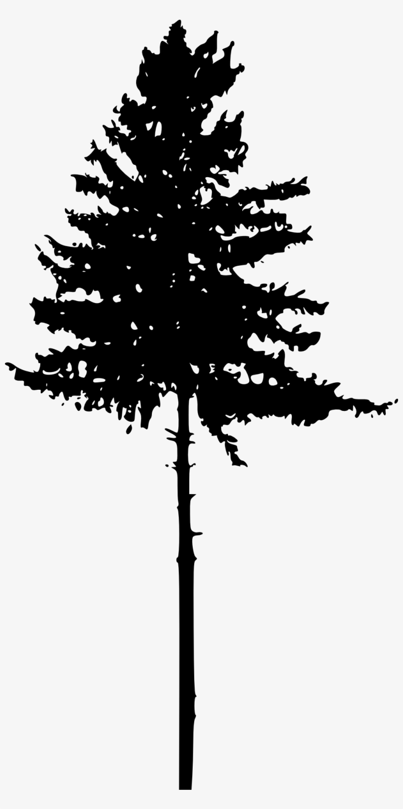 Free Download - Tree Silhouette Png, transparent png #133095