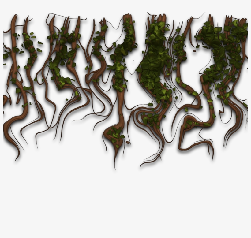 Branch Clipart Branch Vine Virginia Creeper - Art, transparent png #133181