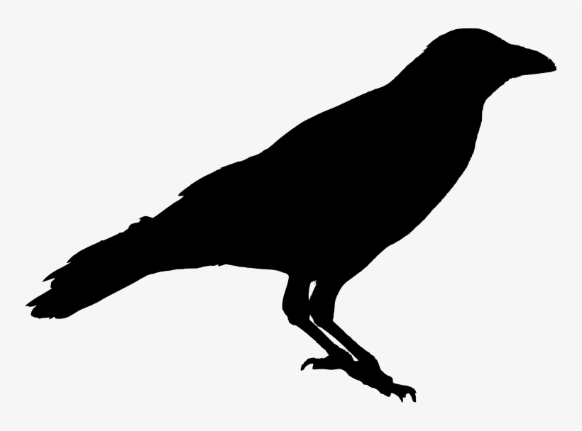 Crow Silhouette Png - Black Crow Silhouette Png, transparent png #133262