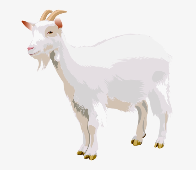 Goat Png - Portable Network Graphics, transparent png #133586