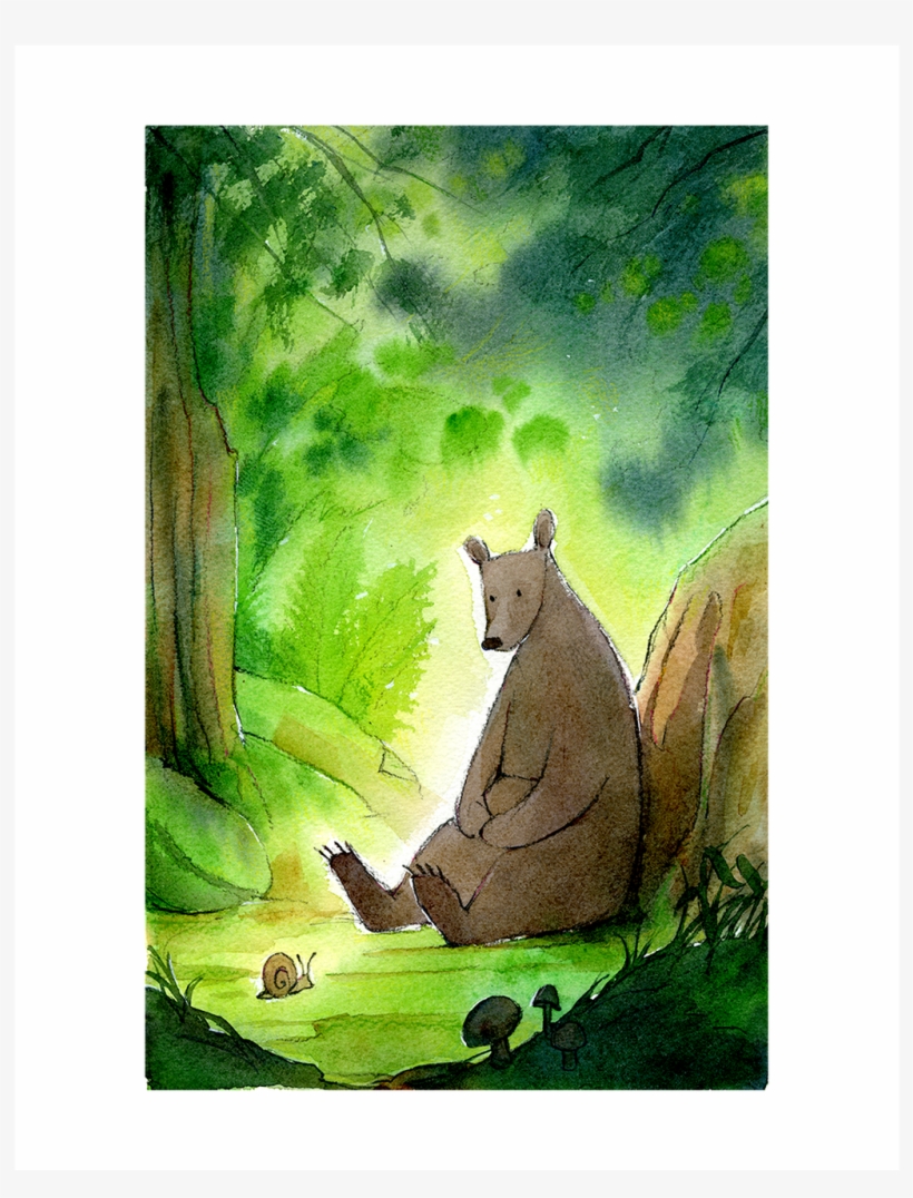 The Bear And The Snail - Wallaby, transparent png #133602